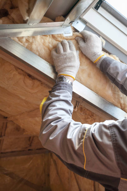 Best Insulation Maintenance and Repair in Pooler, GA